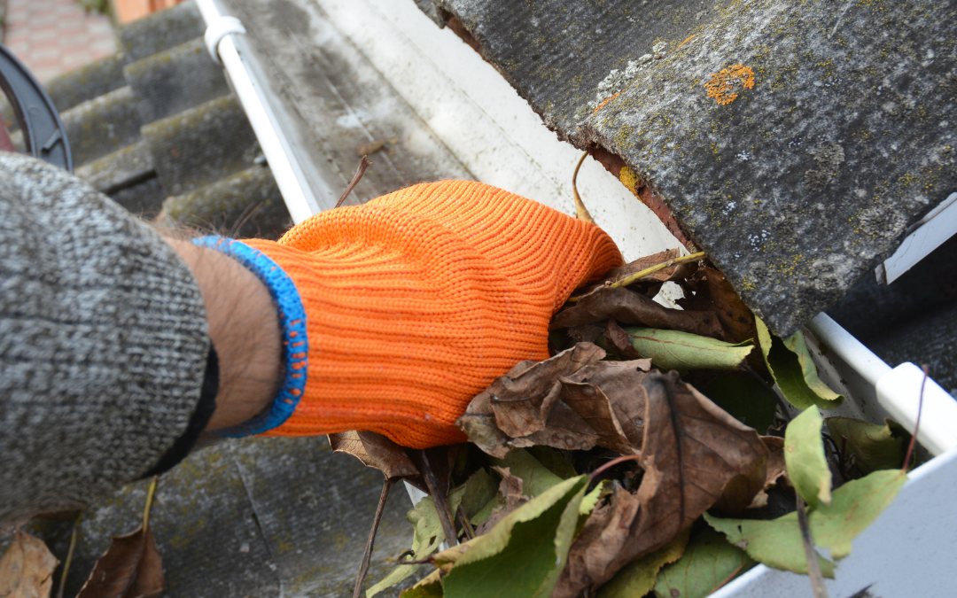 How to Clean and Repair Your Home’s Gutters