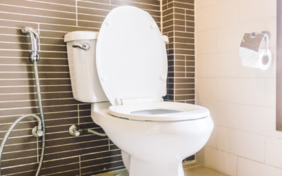 DIY Guide: Installing a Toilet